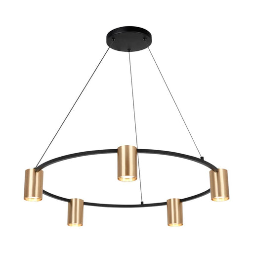 elevenpast Pendant Gold and Black Occhio Round 5 Light Pendant | Black, Gold or White - COMING BEGINNING NOV. 8713.2