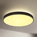 elevenpast Ceiling Light Zea LED Metal Ceiling Light Black Medium | Large