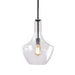 elevenpast Lighting Fixtures Small Lilian Glass Pendant Light Clear CA-KLCH-336S/CL