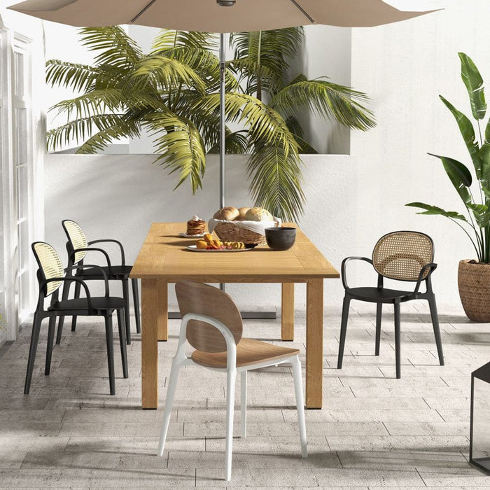 elevenpast Chairs Rush Polypropylene and Rattan Dining Arm Chair CADCS182BCANE