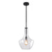 elevenpast Lighting Fixtures Lilian Glass Pendant Light Clear