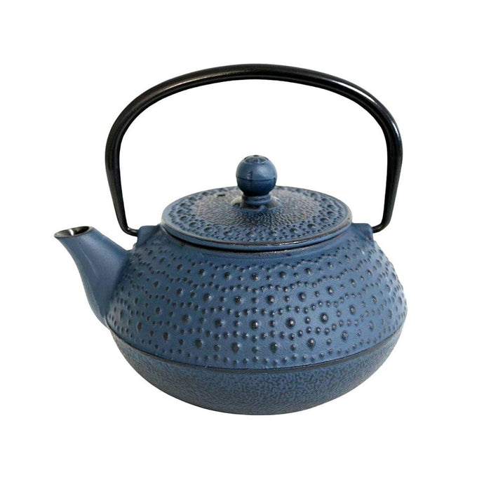 elevenpast Kitchen Appliances Iron Teapot Navy Blue 800ml IRONTY33