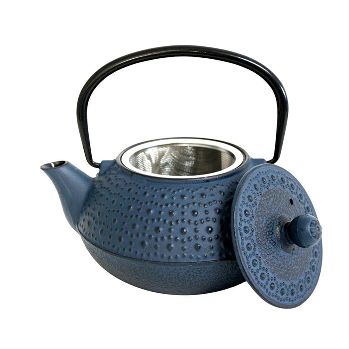 elevenpast Kitchen Appliances Iron Teapot Navy Blue 800ml IRONTY33