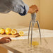 elevenpast Kitchen Appliances Juicy Salif Citrus-squeezer in Aluminium by Alessi PSJS