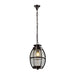 elevenpast Pendant Outdoor Metal and Glass Pendant Light RO408 6009509919060