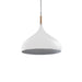 elevenpast Pendant White Kakashi Aluminium Pendant Light Green | Black | White | Grey ZCL828/25